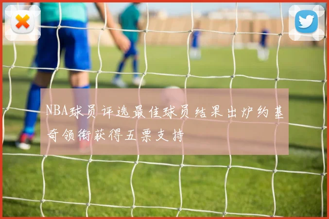 NBA球员评选最佳球员结果出炉约基奇领衔获得五票支持