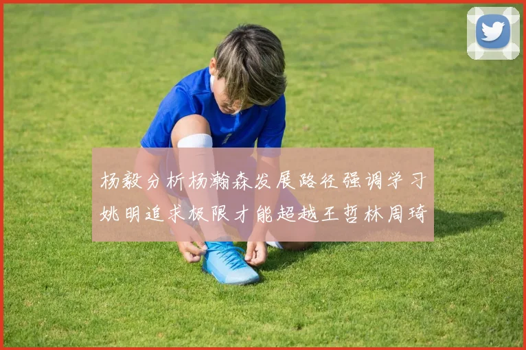 杨毅分析杨瀚森发展路径强调学习姚明追求极限才能超越王哲林周琦状态