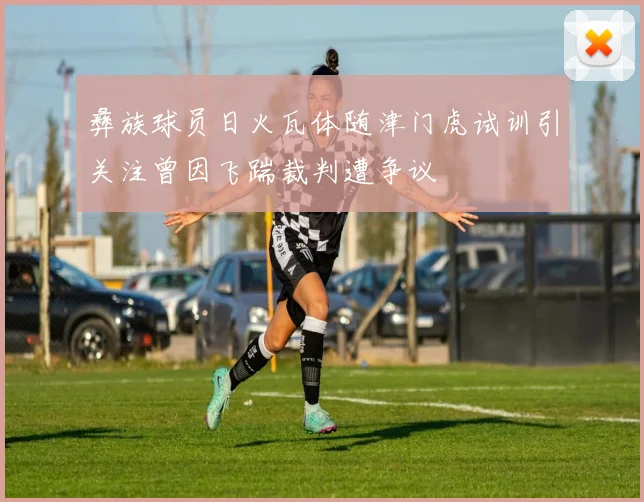 彝族球员日火瓦体随津门虎试训引关注曾因飞踹裁判遭争议