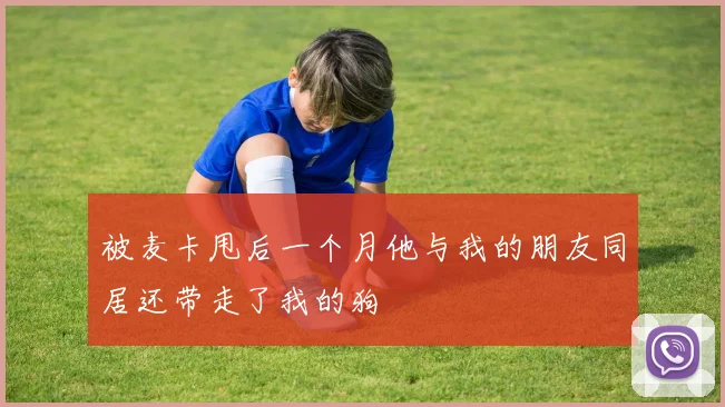 被麦卡甩后一个月他与我的朋友同居还带走了我的狗