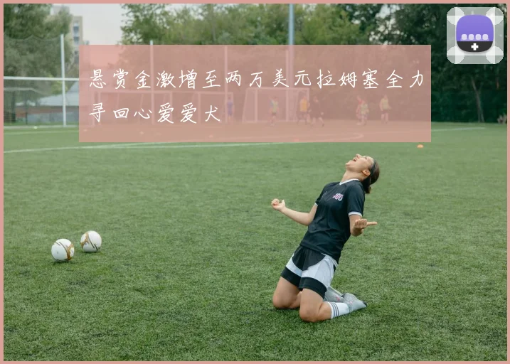 悬赏金激增至两万美元拉姆塞全力寻回心爱爱犬