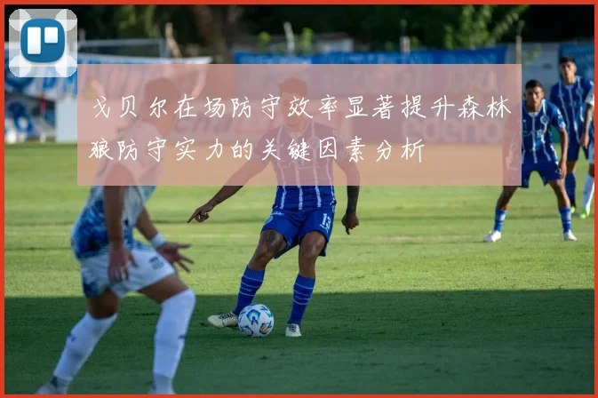 戈贝尔在场防守效率显著提升森林狼防守实力的关键因素分析