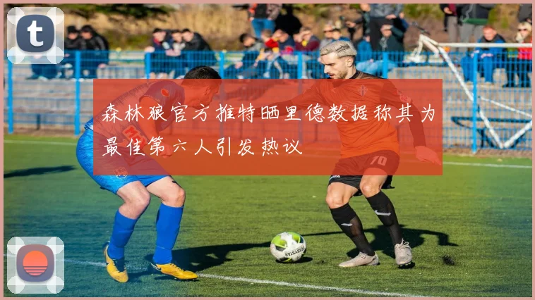 森林狼官方推特晒里德数据称其为最佳第六人引发热议